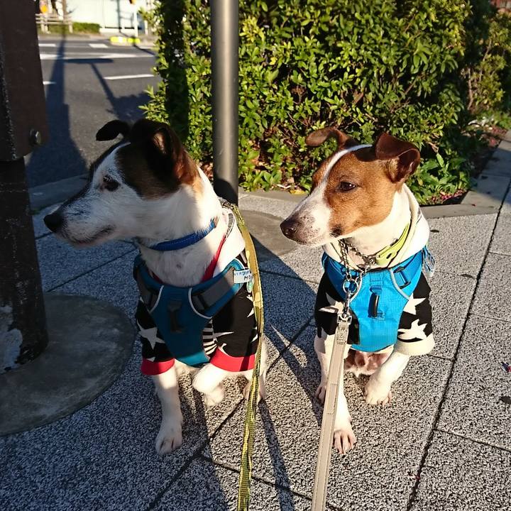 0a78a439 e154 4e37 af29 c653e3a932c6 1553378307907