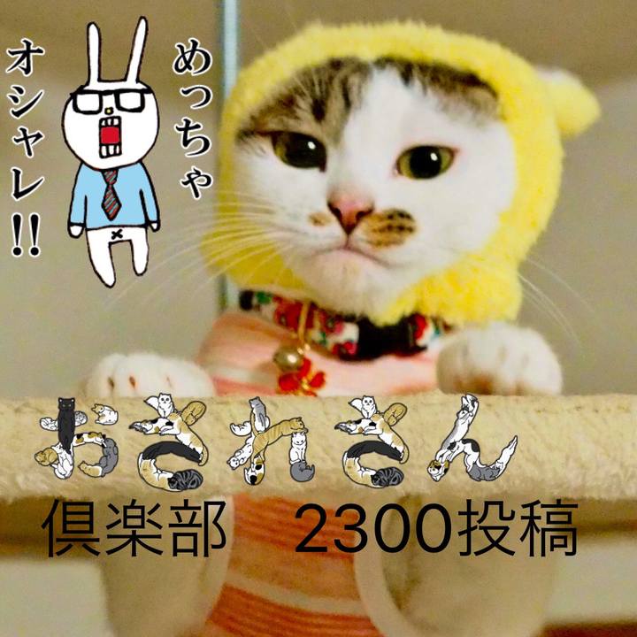 0a78a6ce bd27 47b8 9155 f4c24ff1cf2b 1584173445346