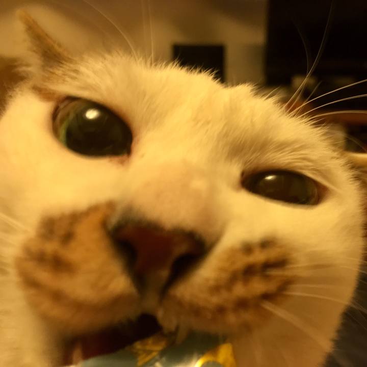 0a78af6f c23d 4c5c 80d0 16da774673bc 1545489667933