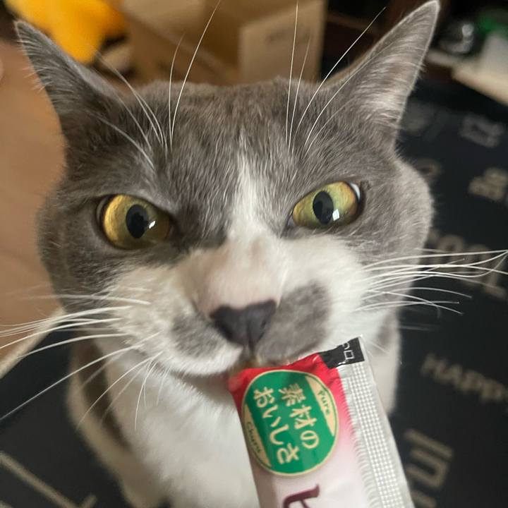 0a78fcef ac01 480a 800e ea10acf9b2d5 1700808335595