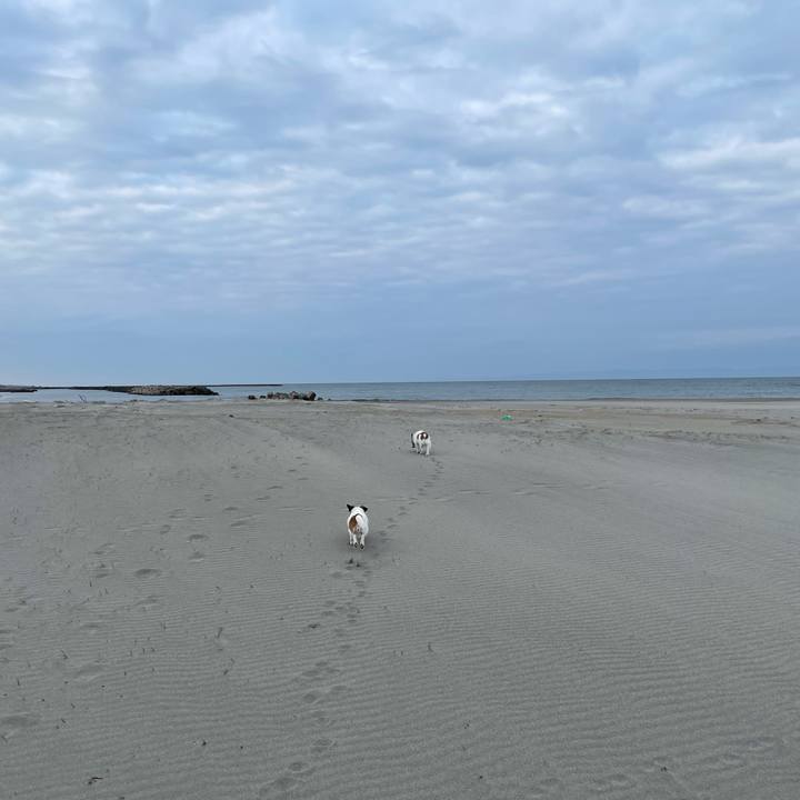 0a790427 9bd2 42f8 aba7 ab0f424b4ef8 1707958810892