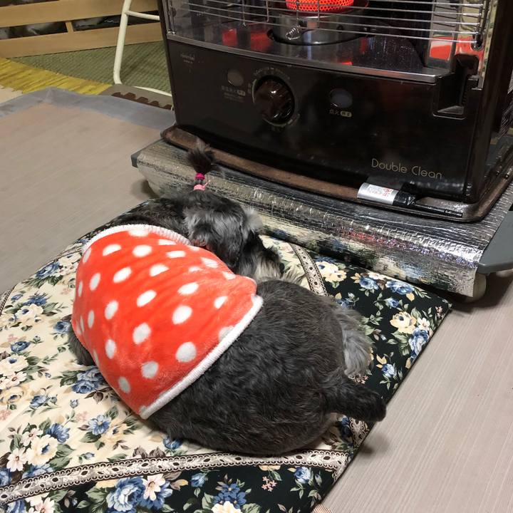 0a792632 c3eb 43c5 8caa 258abc09d5e9 1644744173229