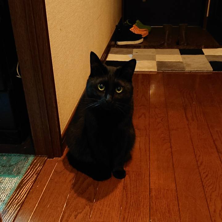 0a795337 d331 402c 9c38 16648fd1920e 1545262642353