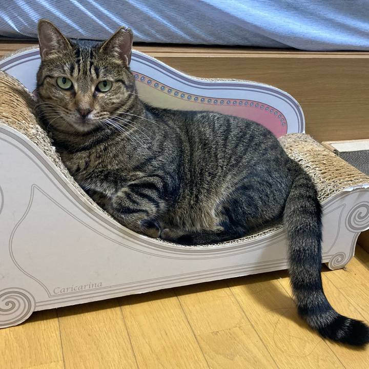 0a7957f9 e923 4d07 94a0 7ed5b5a8725a 1661920830514