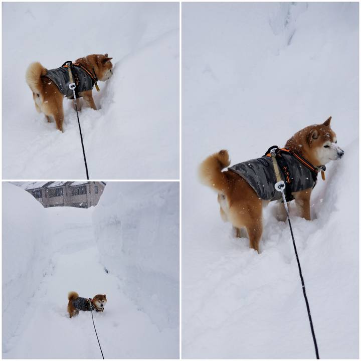 0a79a698 ca3b 4442 b9ae f9e60ac54b21 1644038893547