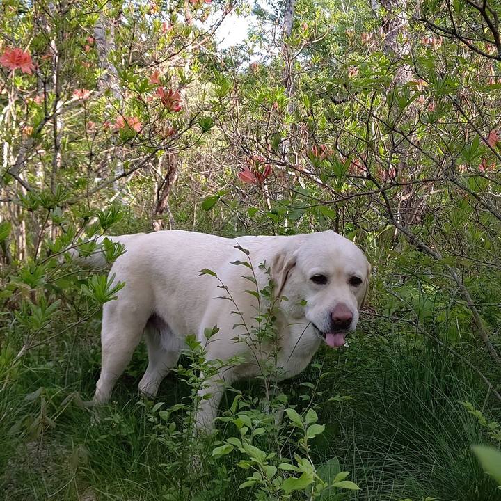 0a7a6b61 9dca 4d87 bce3 add26205815c 1654157890358