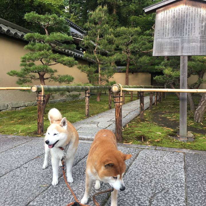 0a7a7438 b448 4a99 afb8 6c55c69393d9 1525907206262