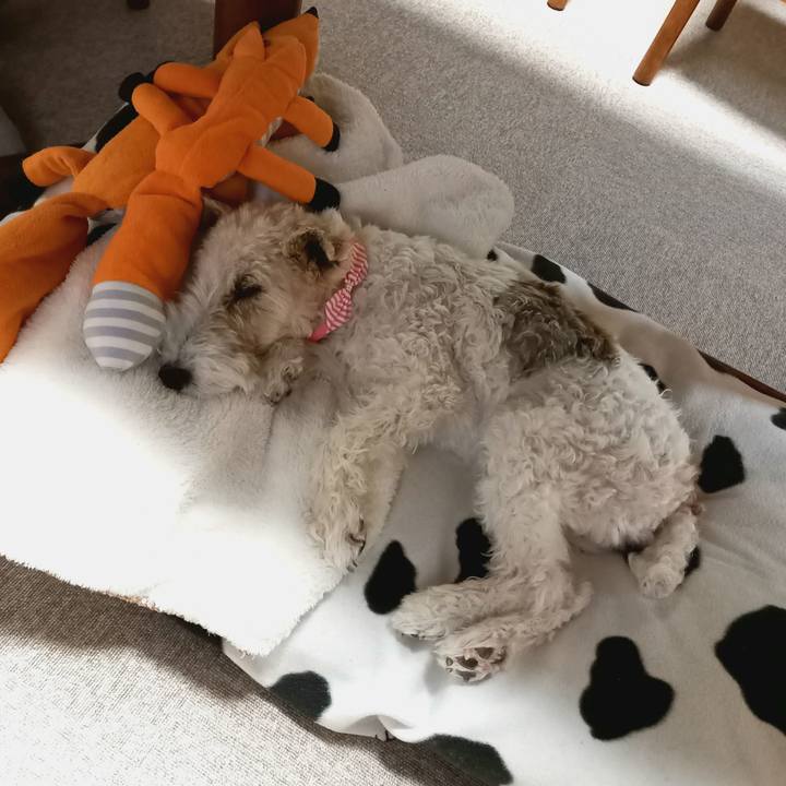 0a7a7cb7 b3cf 4351 8fd2 55dd3f72d1c3 1609408865497