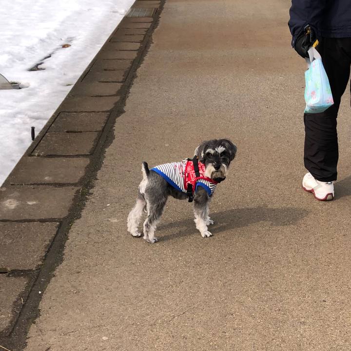 0a7a9b57 cf23 4d0b bcfd 5e69b2cf1238 1519536758003