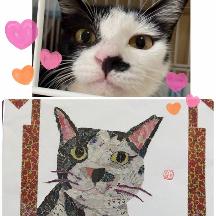 0a7a9cdb eeed 493f ad95 f18f30532d32 1773304472870