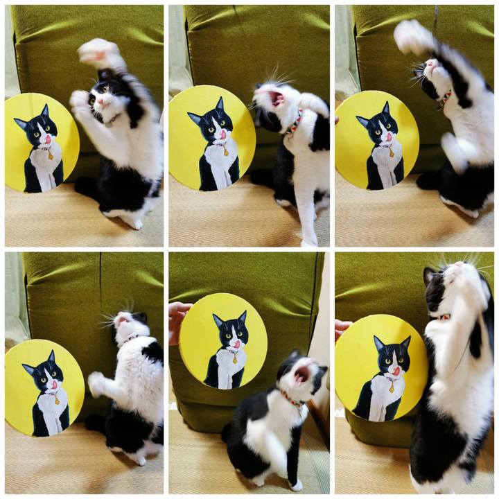 0a7acb65 d043 482f 89ad db3a8c6a17d2 1632454610054