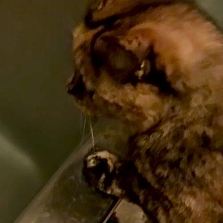 0a7ae106 33ab 41cf bfa0 79cc03208bc9 1761943428789