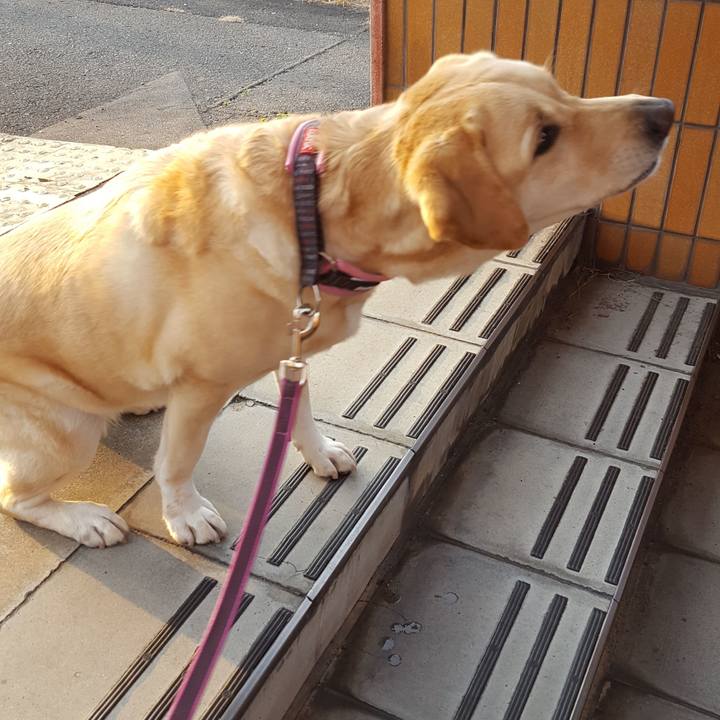 0a7ae4fd 34ad 438d 8b30 6444638f0470 1512994200063