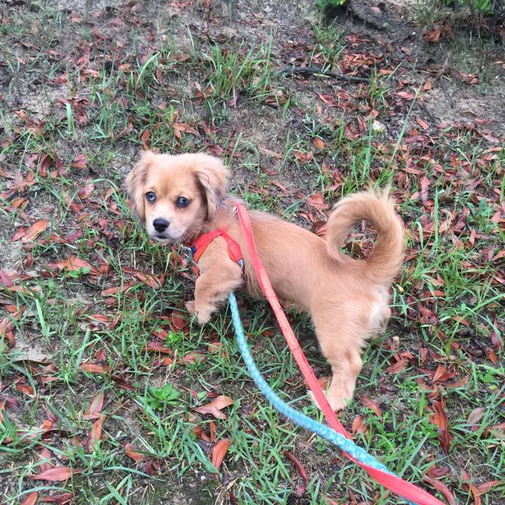 0a7b1482 1c9b 4aff 99b3 e5f1a5f40454 1610239223009