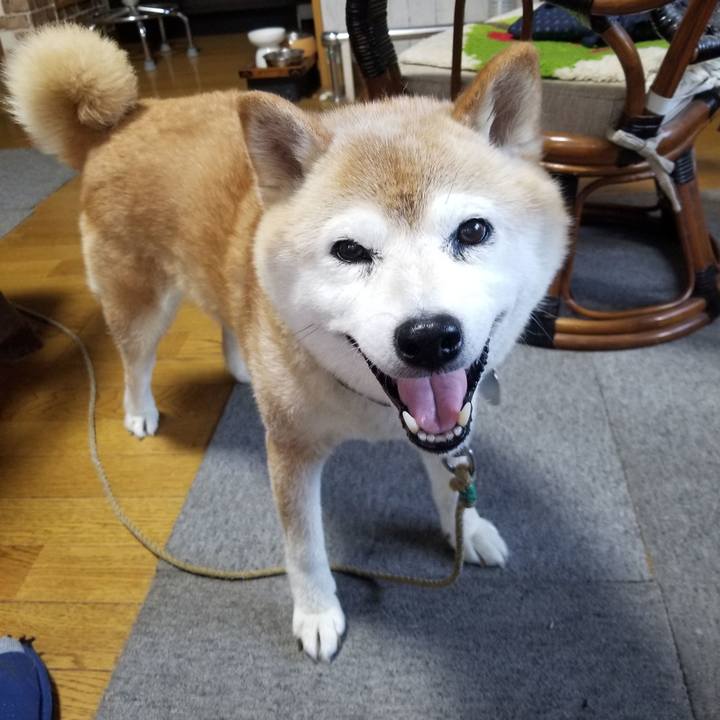 0a7b3066 875f 42c8 8aed fd58c60de840 1720165467435