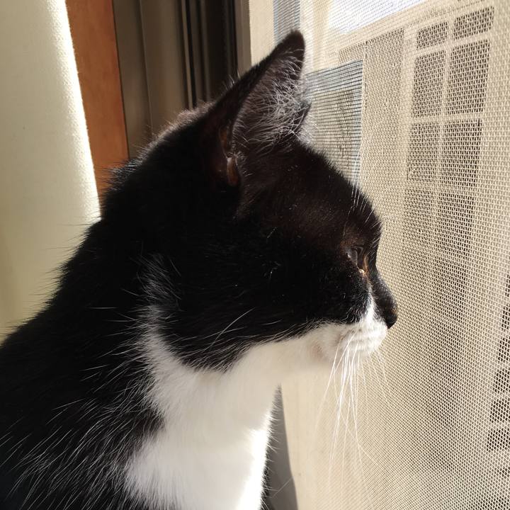 0a7b35fe fc84 4a85 9d6b 6371ded3d370 1581654519006