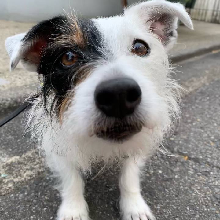 0a7b7b18 14ab 42b0 bcc5 9c4e8d70ca71 1653006638287