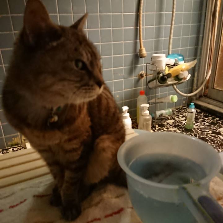 0a7ba256 8768 4456 9f55 2f56d150f025 1569581106805