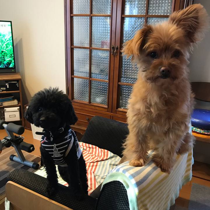 0a7bda54 a9f6 4c59 9540 c435b8e132a4 1540030639543