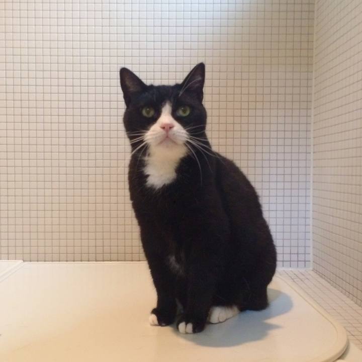 0a7c1a39 8d85 44d6 814d e9c837323dfc 1537667088309