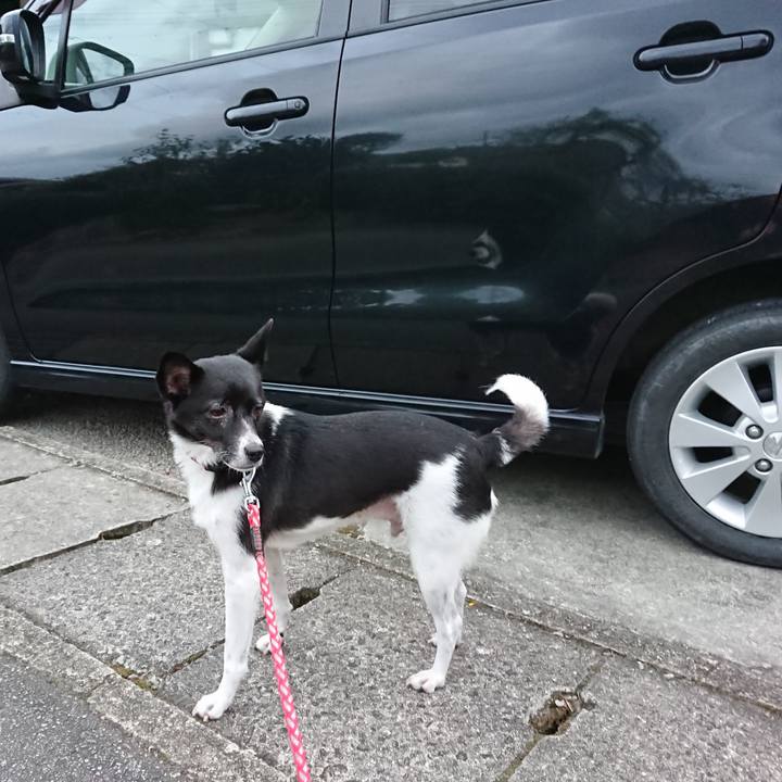 0a7c2aef 3b10 4178 80c3 94269728ba8b 1632570416785