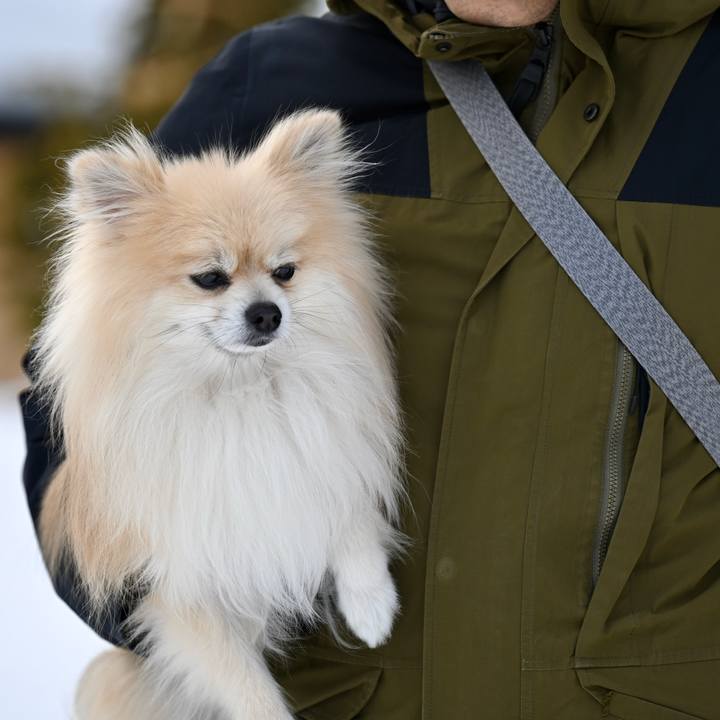 0a7cac5b 2a51 4a35 900c df17cc12817f 1770795369335