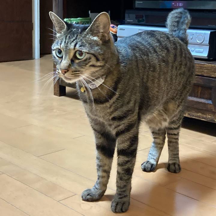 0a7cb39e 837a 4209 8ce3 3a37be8e4b40 1609829073441