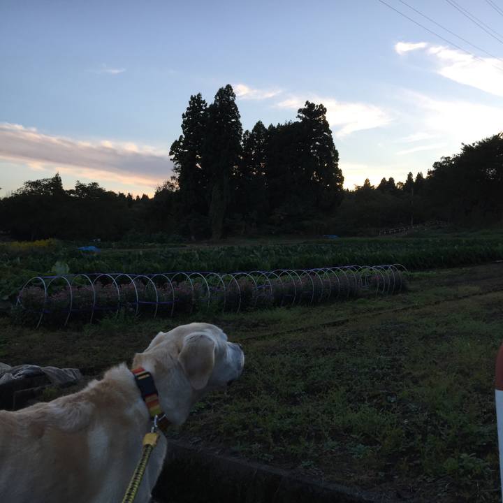 0a7ce3d2 9a1e 4b37 a068 6613c1345789 1540387508761