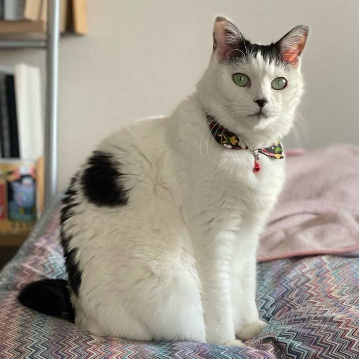 0a7d33c5 d7f5 419b ac89 177e23e1fad7 1644132192286