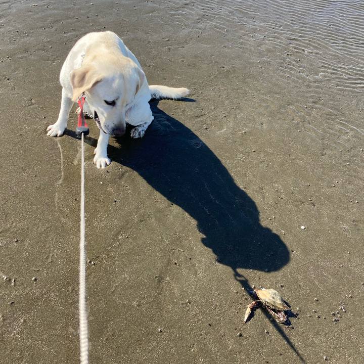 0a7d3cf8 f865 45d9 a6e6 4f09103b61f7 1695696065651