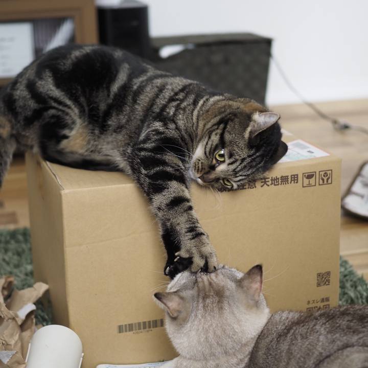 0a7dd274 cef0 4ad8 a091 f759a5e4bdce 1615026308365