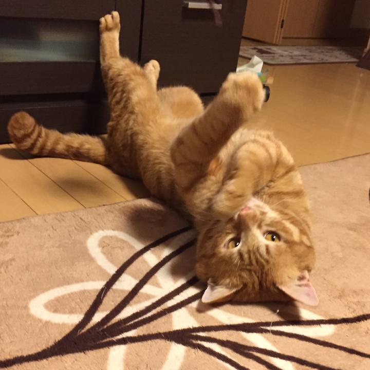 0a7dea97 b825 4afd bab3 f3ed3129ecc7 1520695257595