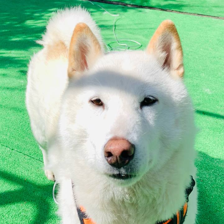 0a7e1b9a f1d6 4c7b 9361 9954dc0db671 1619867595057