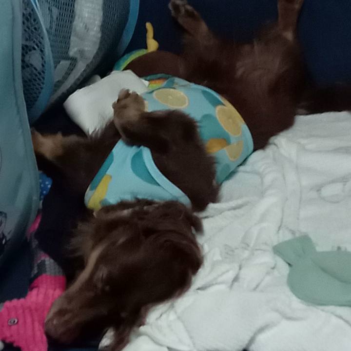 0a7e84bc 7f03 48be ae5b 8dcd5436b342 1755330326812