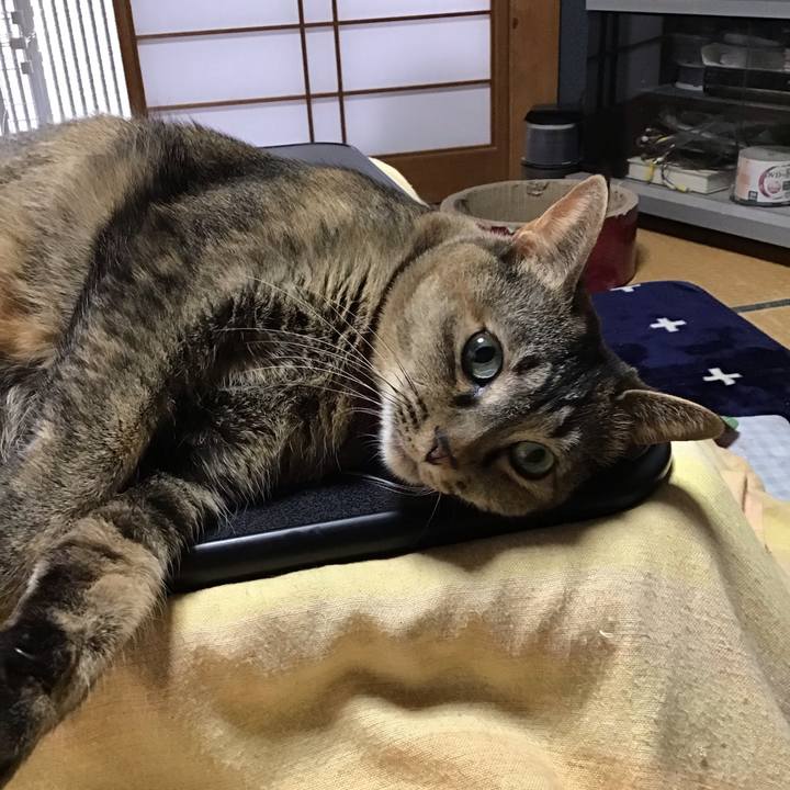 0a7e8ea8 241f 4c73 a25d 97f456264d3b 1706830717334