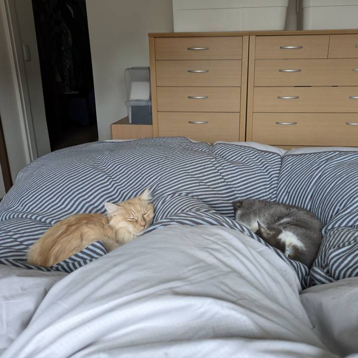 0a7ec6fa 8947 400c 8d94 d8e8da1953d4 1771551609758