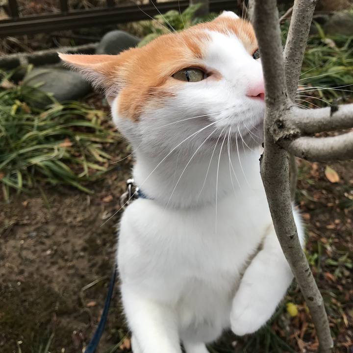 0a7ed867 c419 4980 b90a 1daa379b717e 1520642238124