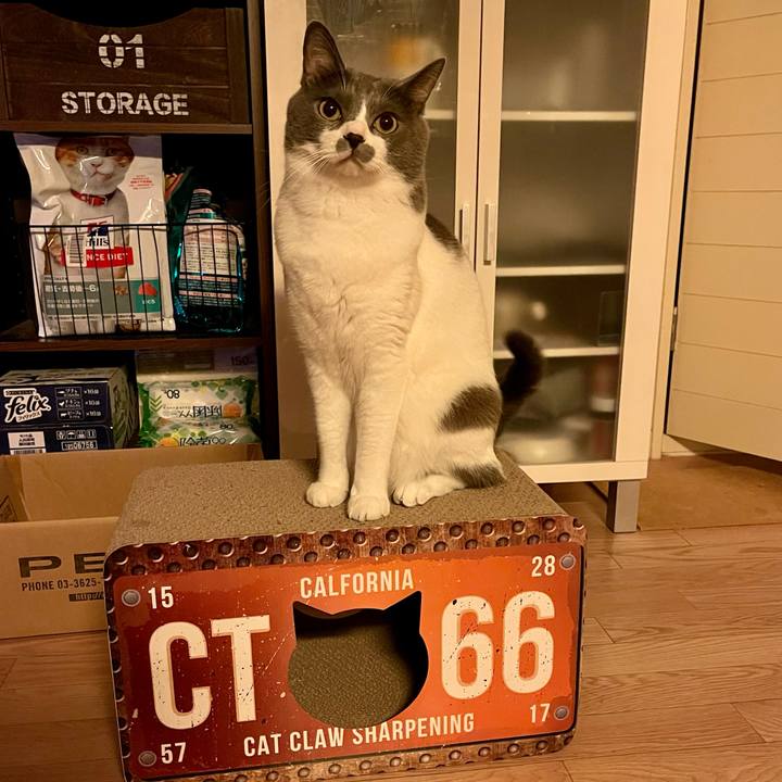 0a7f1d0c 91b4 45d3 940a a054a5f842ef 1662392196228