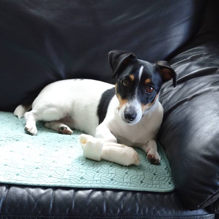 0a7f2468 6faa 486a 9dbe 000ee0502314 1568161211533