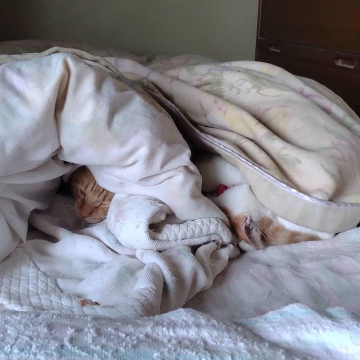 0a7f6e75 3013 4916 a623 3906ce243a58 1762035945660