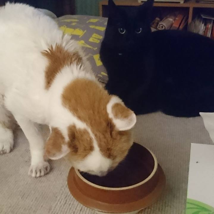 0a7f7d19 d655 4fba b4fa d960e013f3ab 1623591720906