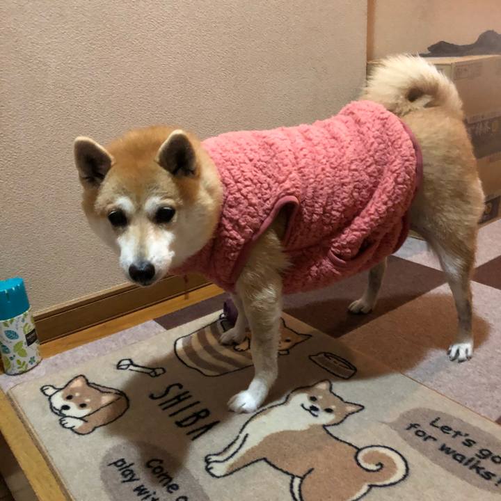 0a7f8dfe 09a1 4849 9c63 999fc9f3b1f5 1576822105448