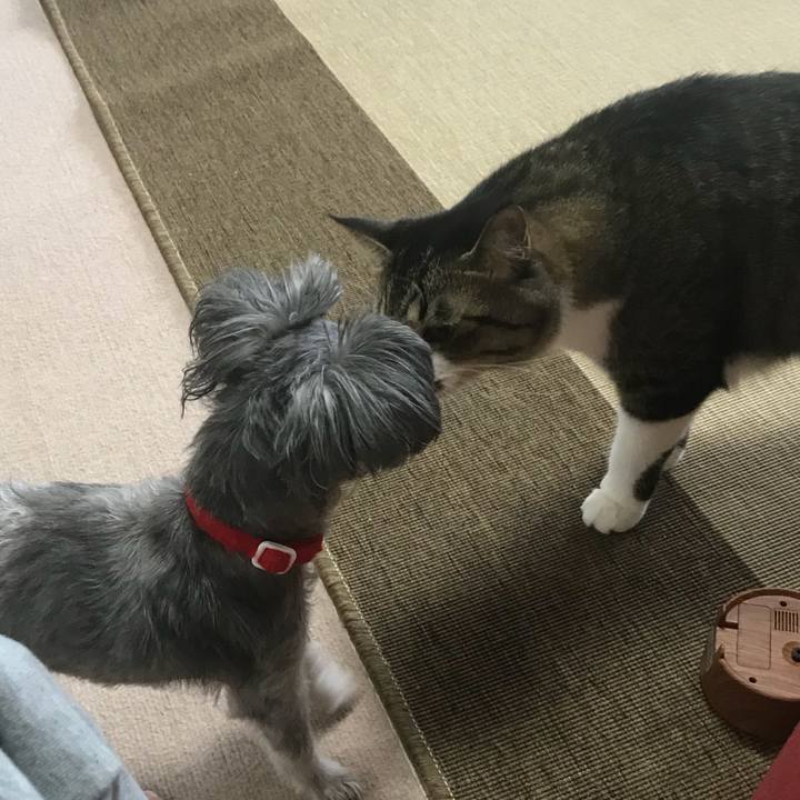 0a7fa0d9 f352 4be7 969e 1ac0900cda90 1537940823741