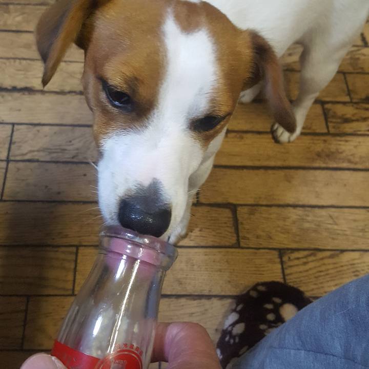 0a7fa875 2558 4a6f a744 addd977ce3e7 1575116527898