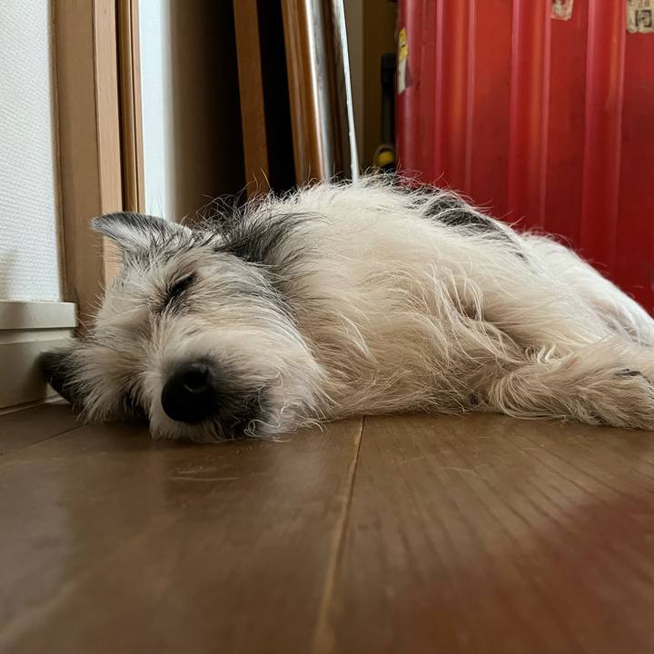 0a7fc67f 6386 46b7 b038 4beda999e563 1656417085493