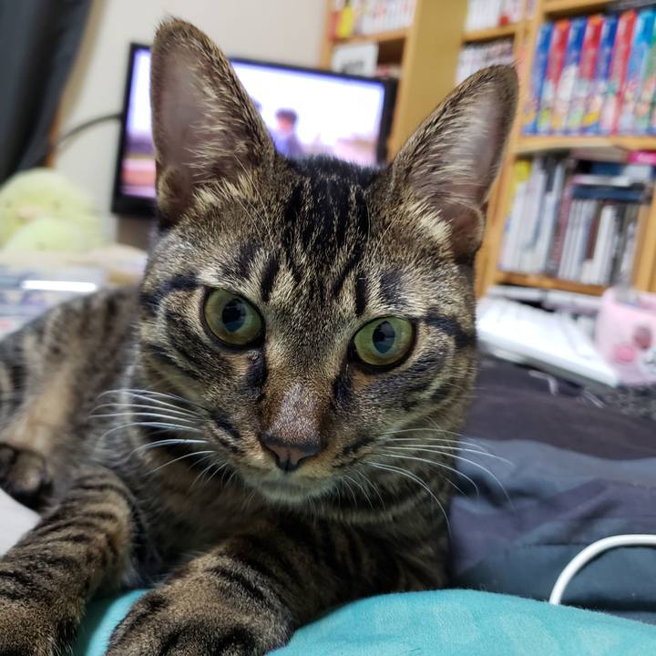 0a800230 93b7 4a12 8c2b 97f271dbd97e 1567953790102