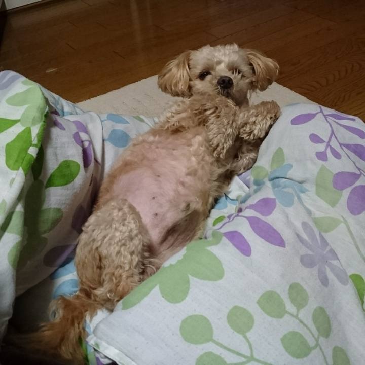 0a801879 45d9 42ed ad13 f3bad99e7e9d 1616638422897