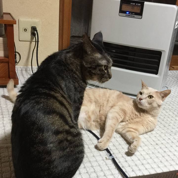 0a8045c2 5f4f 4e53 8432 74a239157666 1516621967330