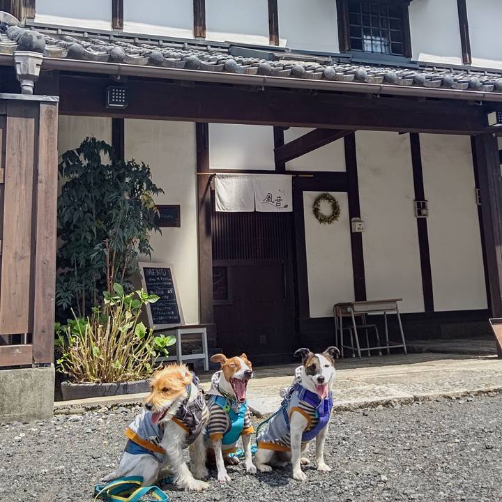 0a80653f 6493 4db1 9511 d0fa2da09c24 1662287287613