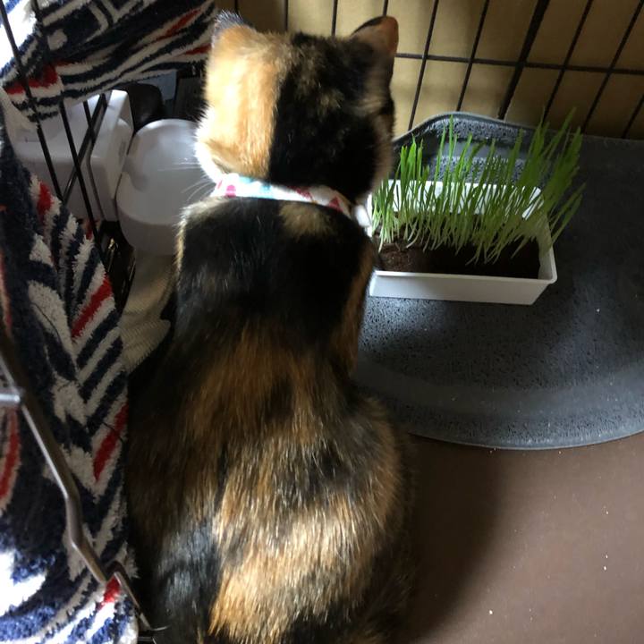 0a80b5ec 73a0 4cd7 a9cd e12b0a848aaf 1564487865190